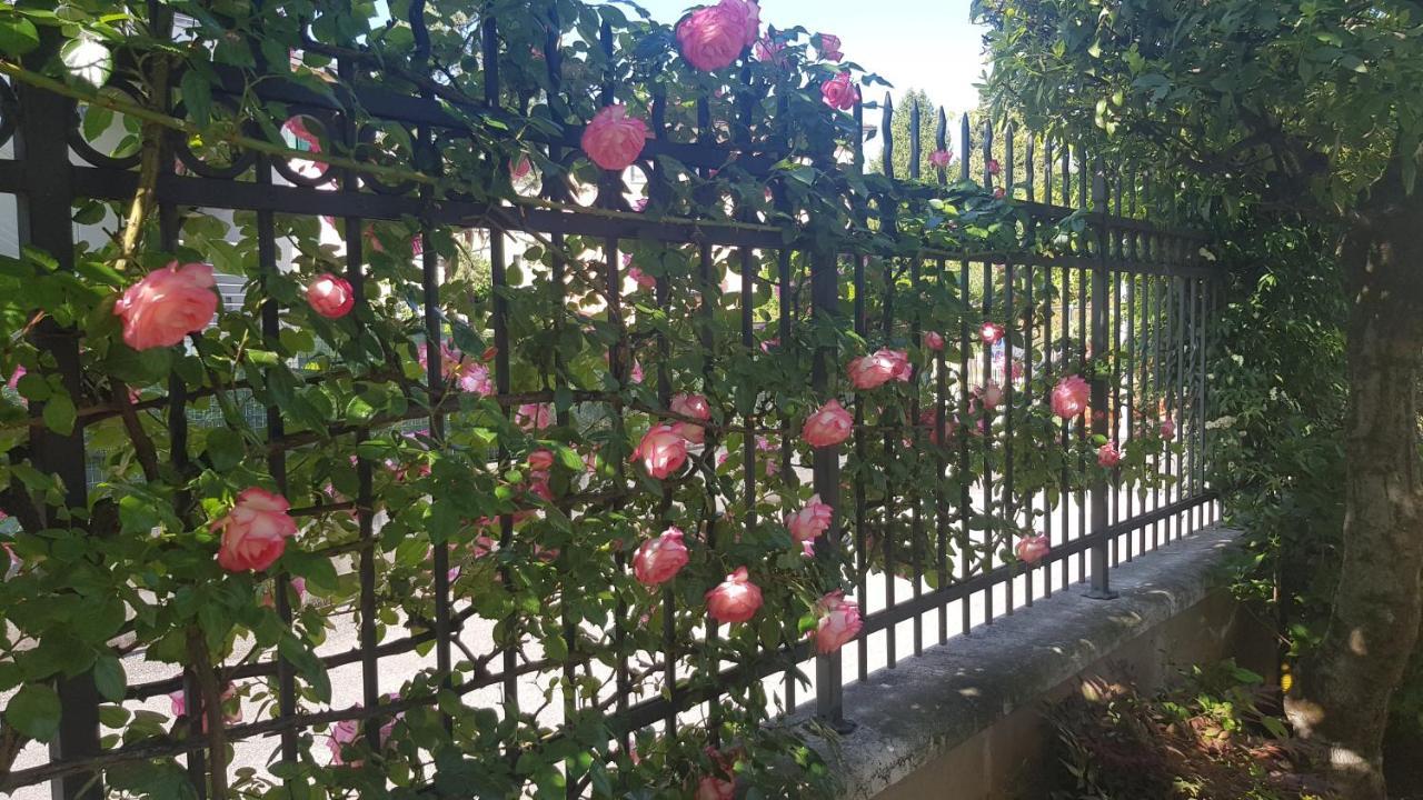 Appartamento Modenese 8 Peschiera del Garda Exteriér fotografie